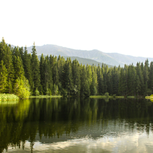 Vrbické pleso